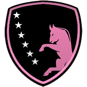 프레스턴 노스 엔드