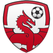 울산현대축구단